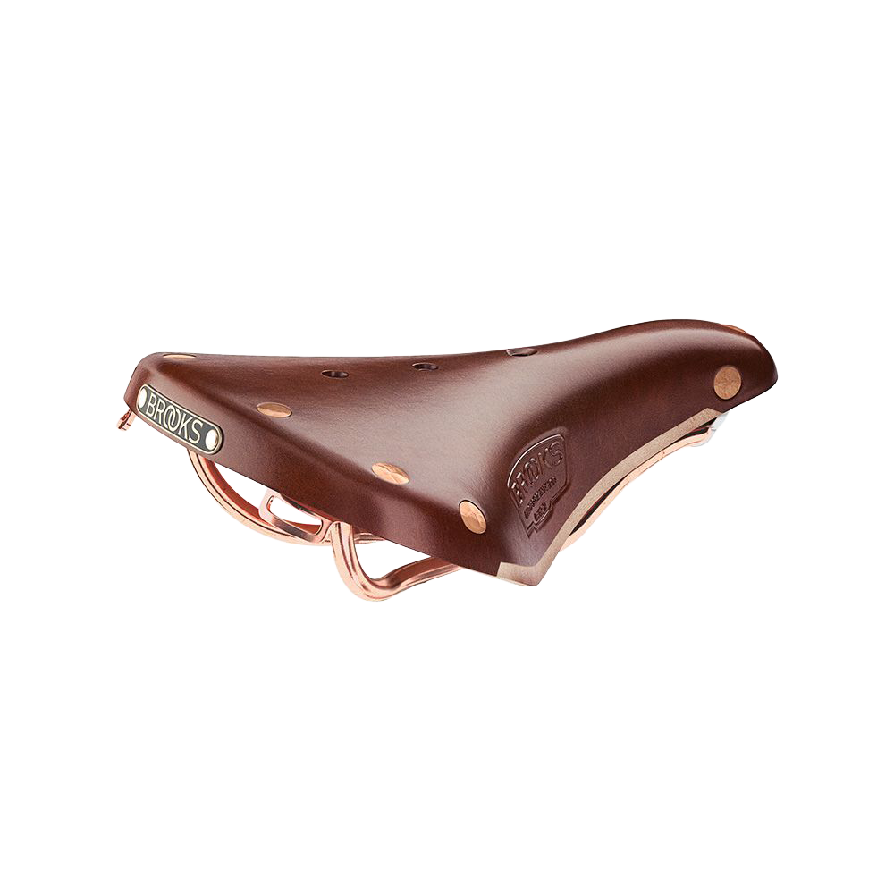Brooks Cambium
