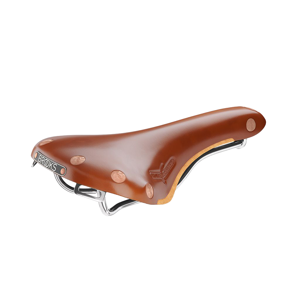 Brooks Cambium