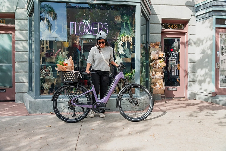 Электровелосипед Aventon Level 4 ADV SO Matte Black L