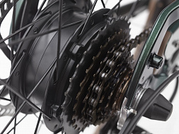 Электровелосипед Electra Townie GO! 7D EQ Step Over Evergreen Metallic