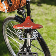 Велосипед Pashley Princess Sovereign 8 Green 22.5"