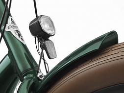 Электровелосипед Electra Townie GO! 7D EQ Step Over Evergreen Metallic