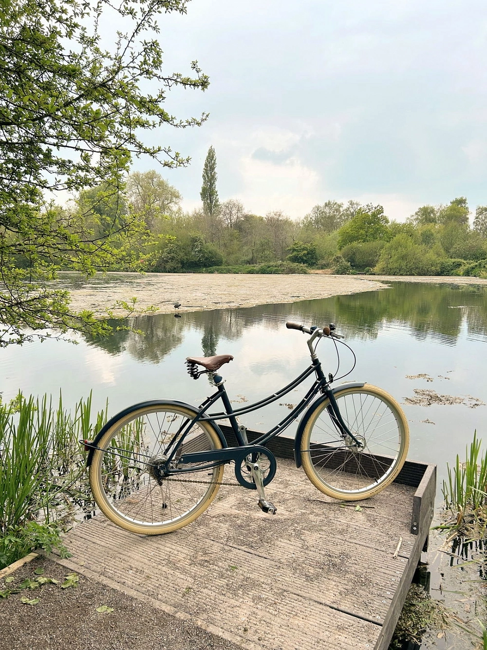 Велосипед Pashley Penny 5i Blue 19
