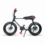Электровелосипед Ruff Cycles Lil'Buddy SPECIAL EDITION Bosch Active Line 300 Wh Anthracite