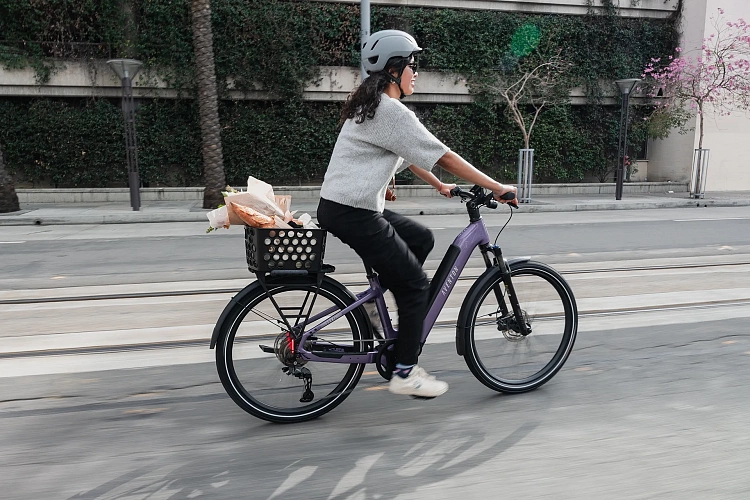 Электровелосипед Aventon Level 4 ADV SO Matte Black L