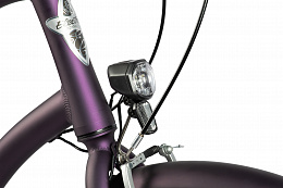 Велосипед Electra Townie 7D EQ Step Thru Purple