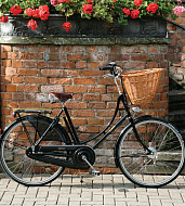 Велосипед Pashley Princess Sovereign 8 Green 22.5"