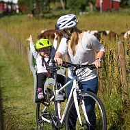 Детское кресло для велосипеда Hamax Kiss Safety Package (Child Seat + Helmet) Grey/Green