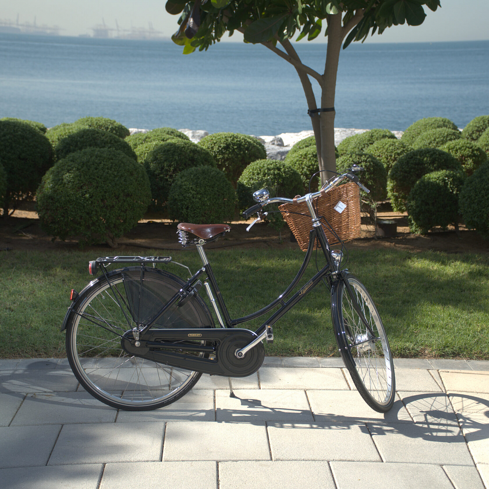 Велосипед Pashley Princess Sovereign 8 Green 22.5"