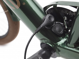 Электровелосипед Electra Townie GO! 7D EQ Step Over Evergreen Metallic