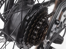 Электровелосипед Electra Townie GO! 7D EQ Step Over Matte Black