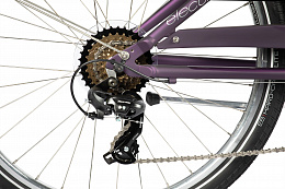 Велосипед Electra Townie 7D EQ Step Thru Purple