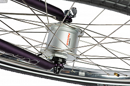 Велосипед Electra Townie 7D EQ Step Thru Purple