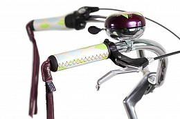 Велосипед Electra Wren 3i