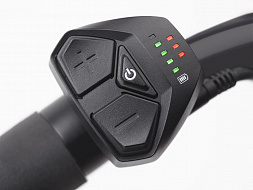 Электровелосипед Electra Townie GO! 7D EQ Step Over Evergreen Metallic