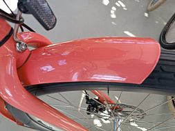 Электровелосипед Electra Townie GO! 7D EQ Step Thru Guava (Garage Vintage)