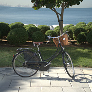 Велосипед Pashley Princess Sovereign 8 Green 22.5"