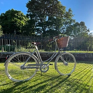 Велосипед Pashley Britannia 5 Platinum Champagne 17.5"
