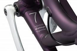 Велосипед Electra Townie 7D EQ Step Thru Purple