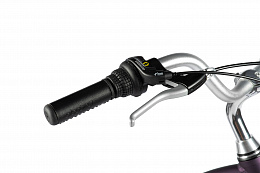 Велосипед Electra Townie 7D EQ Step Thru Purple